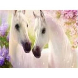 Алмазная мозаика картина стразами Две белых лошади, 50х65 см