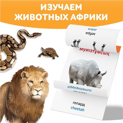 Книга по методике Г. Домана «Животные Африки», на казахском языке