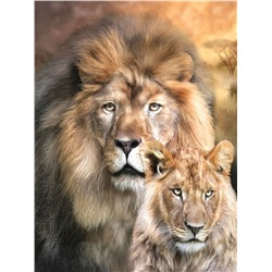 Алмазная мозаика картина стразами Лев и львица, 30х40 см