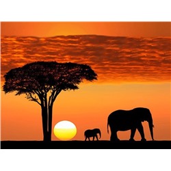 Алмазная мозаика картина стразами Силуэт слонов на закате, 40х50 см