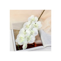 Цветок искуственный орхидея молди 9*66см белая 2578239
