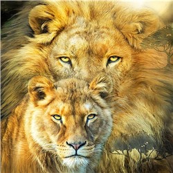 Алмазная мозаика картина стразами Лев и львица, 30х30 см