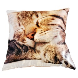 Подушка интерьерная Кошки