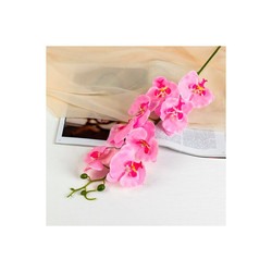 Цветок искусственный орхидея фонтея 8*90см розовая 3110186