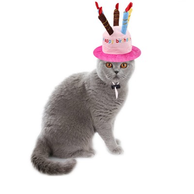 Шапка Happy Birthday для домашних животных КР12