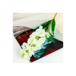 Цветок искусственный орхидея дендробиум 5,5*90см белая 4301702