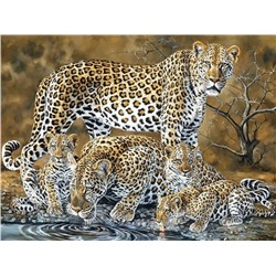 Алмазная мозаика картина стразами Леопарды на водопое, 50х65 см