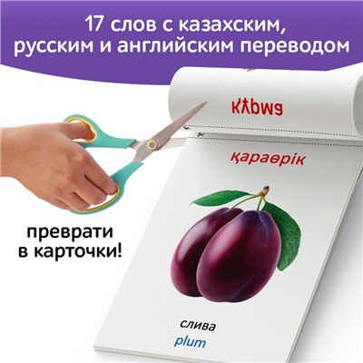 Книга по методике Г. Домана «Фрукты и ягоды», на казахском языке