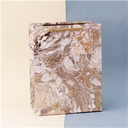 Подарочный пакет(L) "Paints", brown