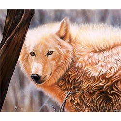 Алмазная мозаика картина стразами Белый волк, 50х65 см