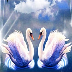Алмазная мозаика картина стразами Пара лебедей, 30х30 см