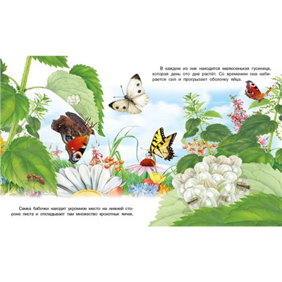 Книга «Как появляется бабочка», Гурина И.В.