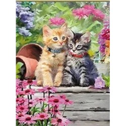 Алмазная мозаика картина стразами Два котёнка, 40х50 см