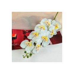 Цветок искусственный орхидея фонтея 8*90 см белая 3110185