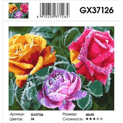 Картина по номерам на  подрамнике GX37126