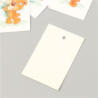 Бирка картон "Цветы 02" набор 10 шт (5 видов) 4х6 см