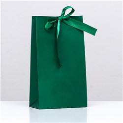 Пакет подарочный с лентой «Зелёный» 13 х 23 х 7 см, 1 шт.