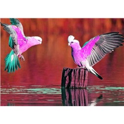 Алмазная мозаика картина стразами Розовые попугаи, 30х40 см