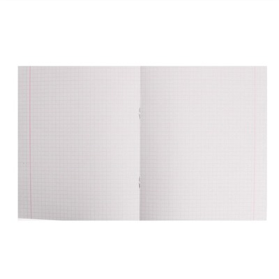 Тетрадь 48 листов в клетку Calligrata "Графика", обложка мелованная бумага, блок №2, белизна 75% (серые листы), МИКС