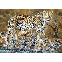 Алмазная мозаика картина стразами Леопарды, 30х40 см
