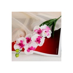 Цветок искусственный орхидея 60см белая 701086