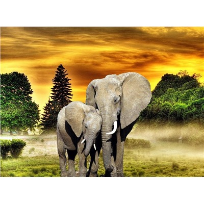 Алмазная мозаика картина стразами Слоны, 30х40 см