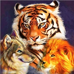 Алмазная мозаика картина стразами Тигр, волк и лев, 30х30 см