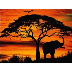 Алмазная мозаика картина стразами Силуэт слона и дерева на закате, 40х50 см