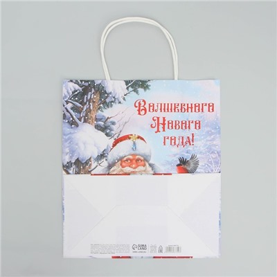 Пакет крафтовый «Волшебного Нового года», 22 × 25 × 12 см