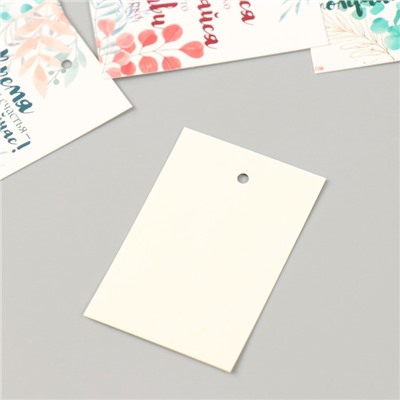 Бирка картон "Пожелания. Постер" набор 10 шт (5 видов) 4х6 см