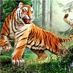 Алмазная мозаика картина стразами Тигр, 30х30 см