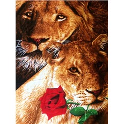 Алмазная мозаика картина стразами Лев и львица, 30х40 см