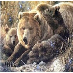 Алмазная мозаика картина стразами Бурые медведи, 30х40 см
