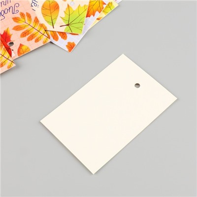 Бирка картон "С Днем учителя" набор 10 шт (5 видов) 4х6 см