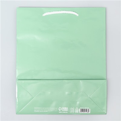 Пакет ламинированный «Зелёный», ML 21 х 25 х 8 см
