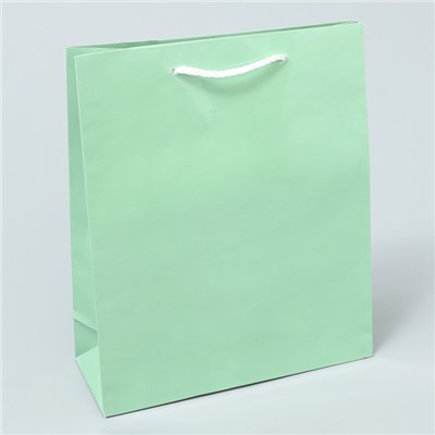 Пакет ламинированный «Зелёный», ML 21 х 25 х 8 см