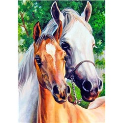 Алмазная мозаика картина стразами Две лошади, 30х40 см