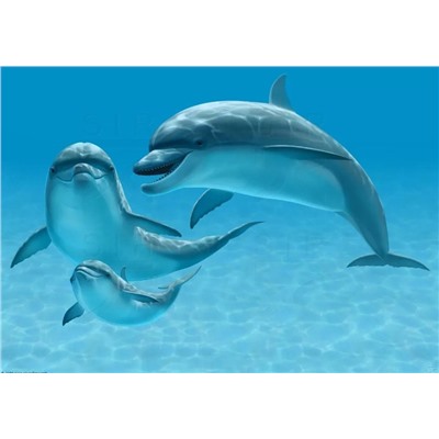 Алмазная мозаика картина стразами Семья дельфинов, 30х40 см