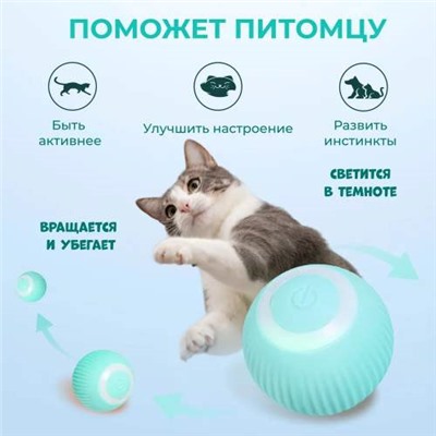 Интерактивный Автоматический Шарик-Дразнилка для кошек TYPE-C 4,3 см