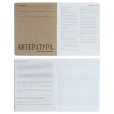 Тетрадь предметная "Новая классика", 48 листов в линейку «Литература», обложка картон, ВД-лак