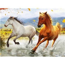 Алмазная мозаика картина стразами Два коня, 30х40 см