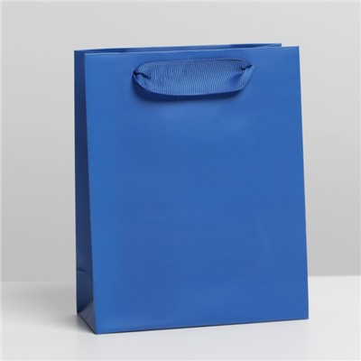 Пакет ламинированный «Синий», S 12 х 15 х 5.5 см
