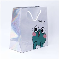 Подарочный пакет "Question Frog WHT", 250*110*260MM