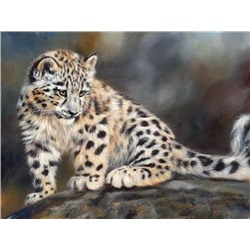 Алмазная мозаика картина стразами Детёныш леопарда, 40х50 см