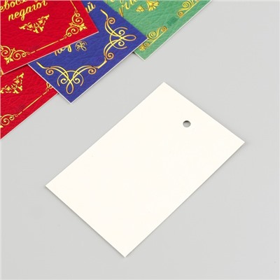 Бирка картон "Диплом" набор 10 шт (5 видов) 4х6 см