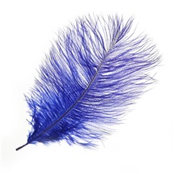 Перо для декора, размер: 25-30 см, цвет синий