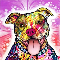 Алмазная мозаика картина стразами Разноцветный пёс, 30х30 см