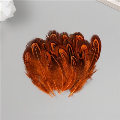Перо декоративное фазана "Рябь. Оранжевая" набор 20 шт h=5-7 см