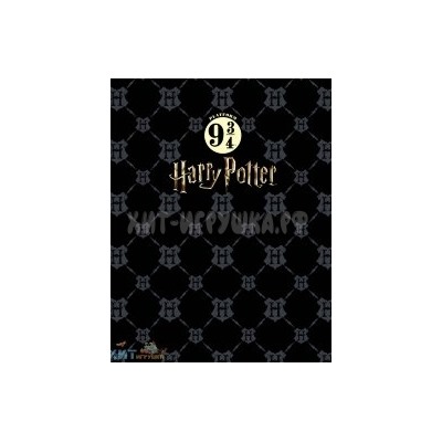 Тетрадь 160 л. А5 на кольцах Гарри Поттер Хатбер 160ТК5В1_23355, 160ТК5В1_23355