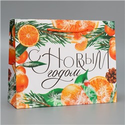 Пакет ламинированный горизонтальный «Цитрусовый коктель», MS 23 × 18 × 8 см